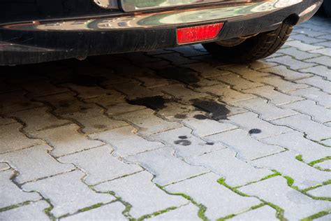 Small engine oil leaks can often go undetected when you're stopped because the oil has pooled on shields and shrouds and doesn't collect on the ground. Why Is My Car Leaking Oil When Parked? Here's Everything ...