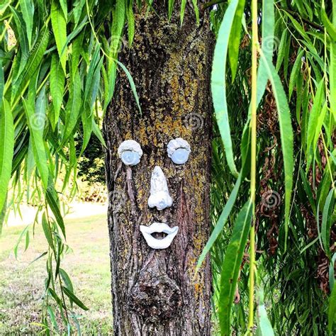 35 Most Funniest Tree Face Pictures That Will Make You Laugh Funnyexpo