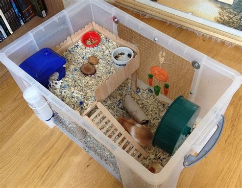 Hamster Diy Hamster Cage Ideas Hamster Cages