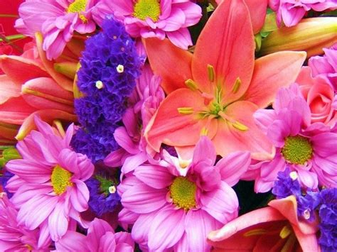 Nice Flowers Free Screensaver Look At Your Desktop And Enjoy The