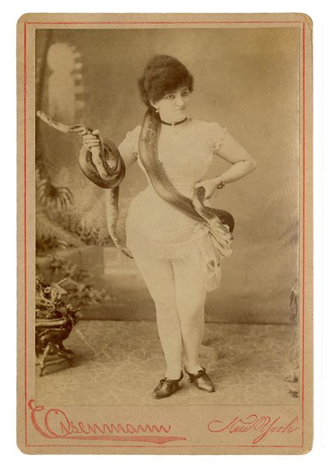 Vintage Circus Performer Woman Photograph Stock Illustration Hot Sex