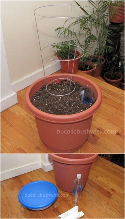 15 Diy Self Watering Planters That Make Container Gardening Easy Diy