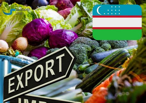 Минеральные продукты на экспорт это: Классификация экспортных товаров