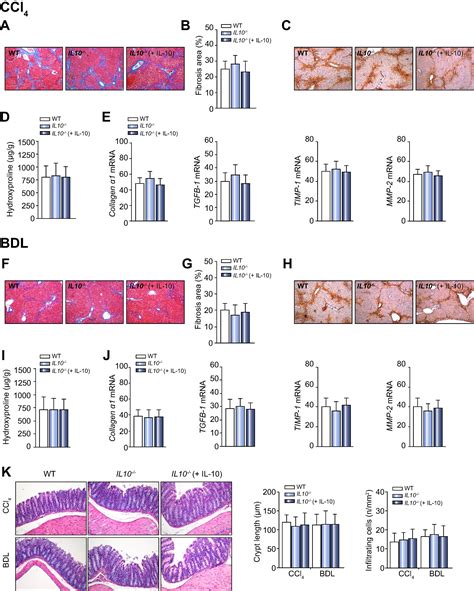 The Functional And Mechanistic Relatedness Of Ezh2 And Menin In