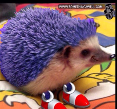 So This Is How Sonic Looks In The New Live Action Movie