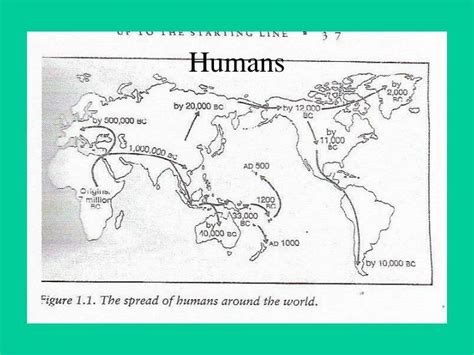 Ppt Humans Powerpoint Presentation Free Download Id6850596