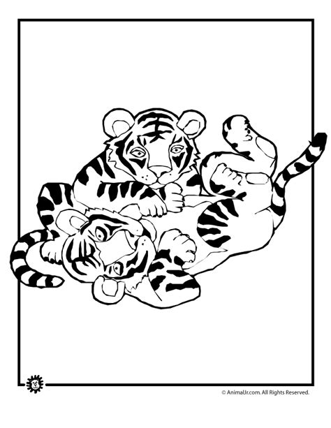 Animal Jr Tiger Cubs Playing Coloring Page