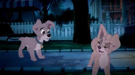 Lady And The Tramp 2 Scamp And Angels Quarrel Angel Fandub Youtube