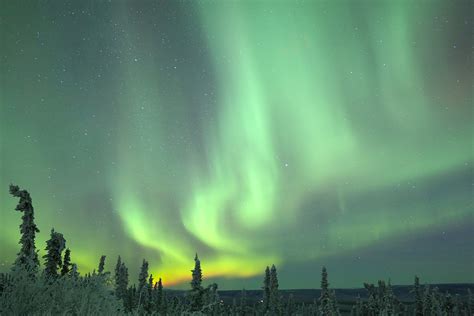 Aurora Borealis In Fairbanks Alaska Discovering New Skies
