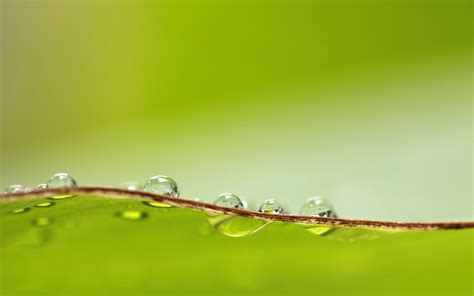 Download Wallpaper 3840x2400 Drops Macro Surface Wet 4k Ultra Hd 16