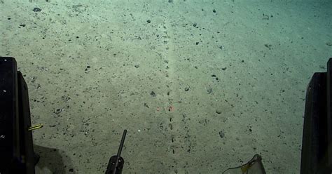Mysterious Holes Discovered At The Bottom Of The Atlantic Ocean And No