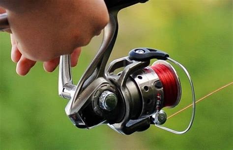 Best Fishing Reels Top Rated And Reviewed Winter