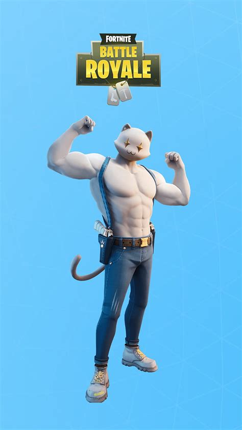 1920x1080px 1080p Free Download Meowscles 2 Fortnite Animal Cat