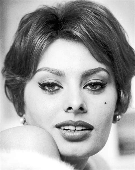 Sophia Loren Actress Film Actorfilm Actress Film Actress