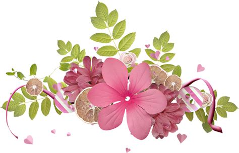 Flores Png Sin Fondo Png Stock Com In 2021 Plants Flowers Riset