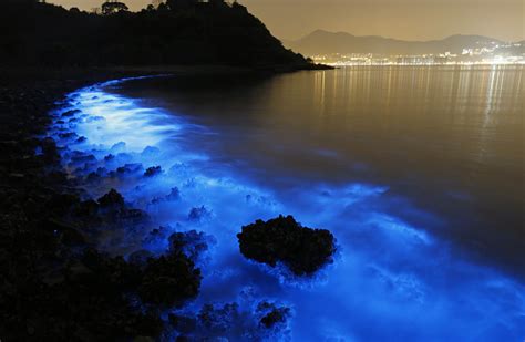 Captivating Glowing Beach With Bioluminescent Plankton