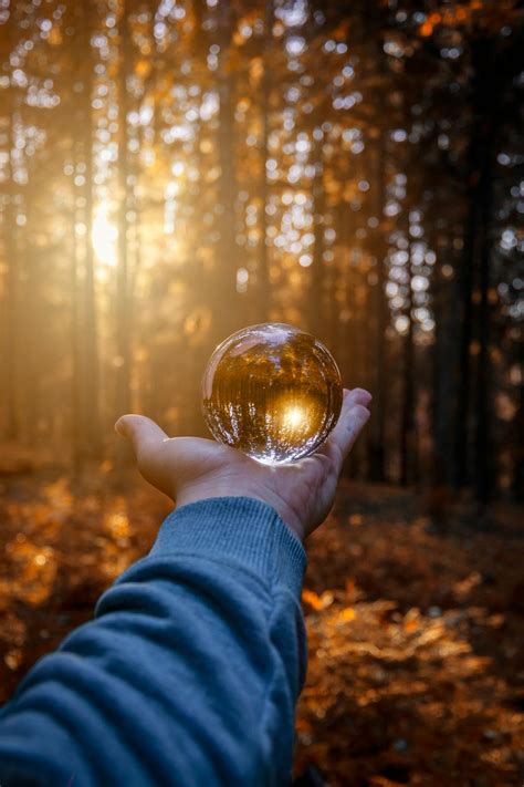Person Holding Ball Glass · Free Stock Photo