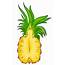 Download High Quality Pineapple Clip Art Cut Out Transparent PNG Images 