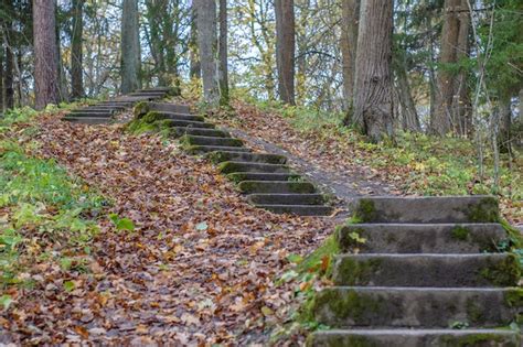 What Is The Myth About Staircases In The Woods