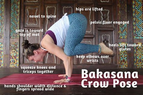 Alignment Tips For Bakasana Crow Pose Learn To Teach Modifications