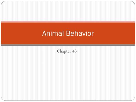 Ppt Animal Behavior Powerpoint Presentation Free Download Id2138167