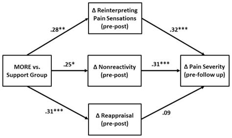 Mindfulness Oriented Recovery Enhancement For Chronic Pain And