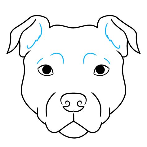How To Draw A Pitbull Face Really Easy Drawing Tutorial