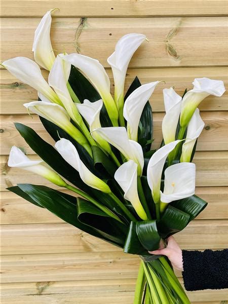 Large White Calla Lily Sheaf Funeral Flowers Reading