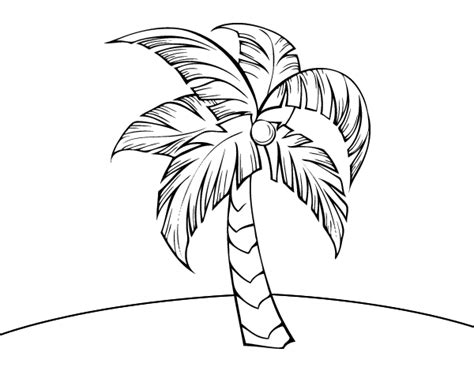 A Palm Tree Coloring Page