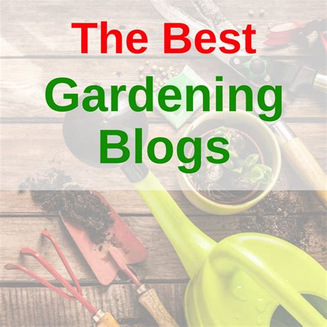Best Gardening Blogs Yardyum Garden Plot Rentals