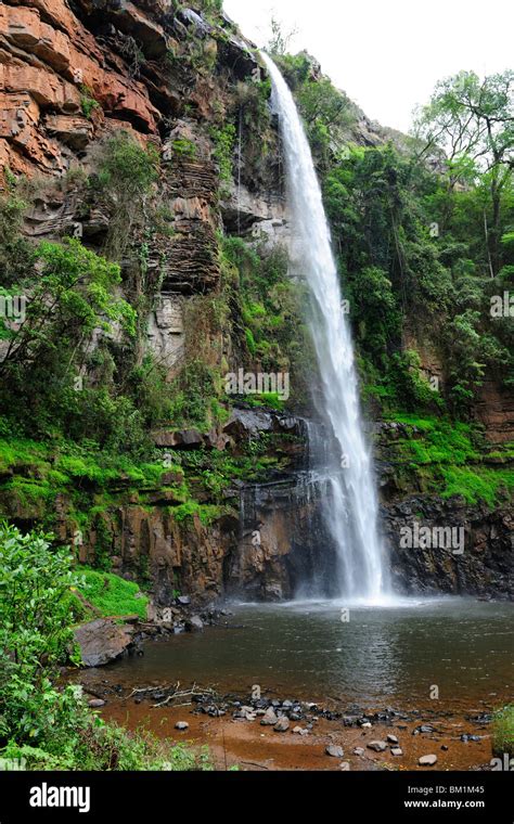 Lone Creek Falls Near Sabie In Mpumalanga Province South Africa Stock