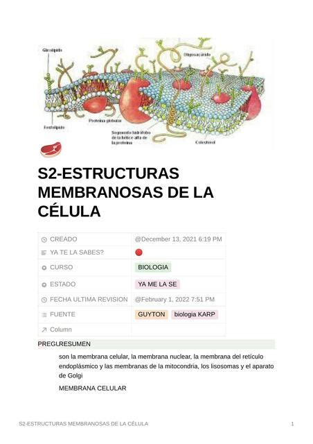 Estructuras Membranosas De La Célula Juan Diego Huaman Ramirez Udocz