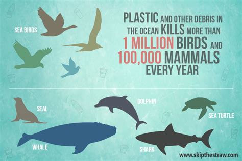 How Can You Help Reduce Plastic Waste In The Oceans Wholeroll