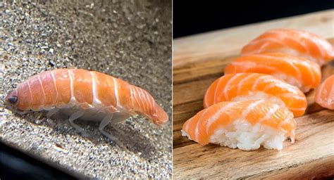This Parasite Found Off The Coast Of Japan Looks Exactly Like Salmon