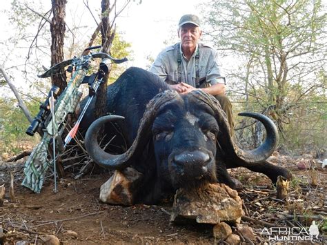 Cape Buffalo Cross Bow Hunt