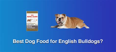 10 Best Dog Food For English Bulldogs 2023 Best Reviews With Faqs