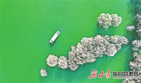 【摄影】陇原春色浓