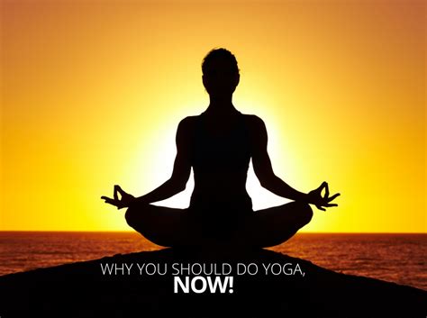 Why You Should Do Yoga Now By The Best You The Best You Magazine
