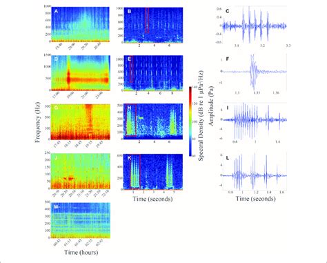 A Long Term Spectral Average Ltsa Of Chorus I On 07242017 B