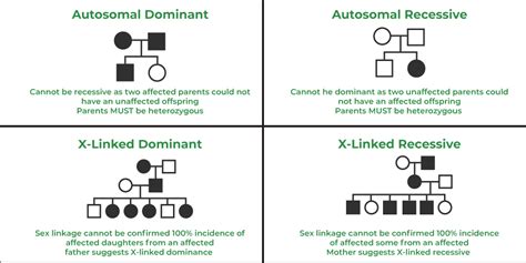 Sex Linked Dominant Inheritance Definition Characteristics Examples