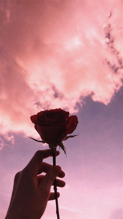 Red Rose Aesthetic Background Wallpapers Aesthetic Iphone Light
