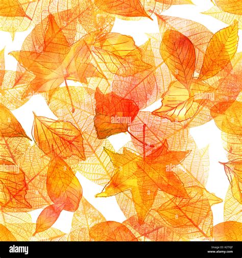 A Seamless Background Pattern Of Golden Autumn Leaves On A White