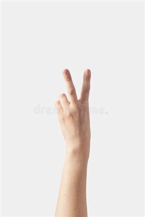 122 One To Five Fingers Count Hand Gesture Isolated Stock Photos Free