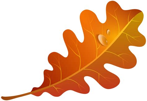 Free Orange Leaves Cliparts Download Free Orange Leaves Cliparts Png