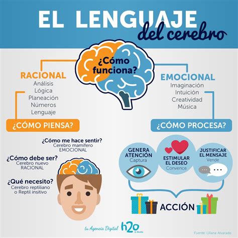El lenguaje del cerebro Visítanos en h o cl h oStudio MarketingDigital AgenciaDigital