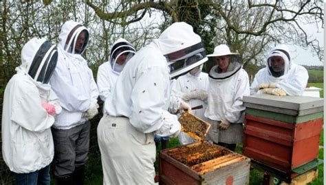 General Information Northamptonshire Beeskeepers Association Nbka