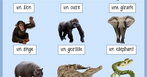 Notre Blog De Français Les Animaux Sauvages Vocabulaire