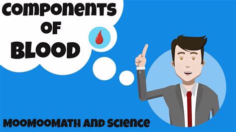 The liquid component of blood is called plasma, a mixture of water, sugar, fat, protein, and salts. Components of Blood and their function - YouTube