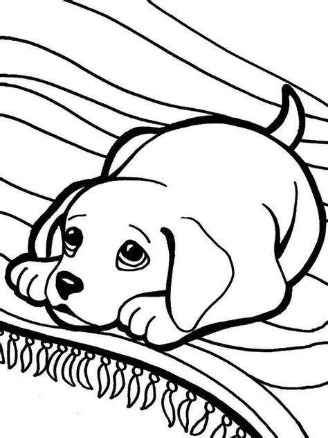 Not only do these coloring pages feature cute pictures of puppies, they also provide useful information about them. Free Puppy coloring pages. Download and print Puppy ...