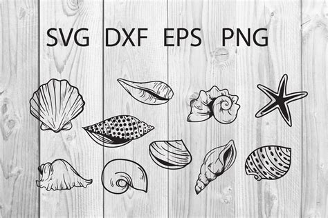 Seashell Cut File Svg Graphic By Dadanpm · Creative Fabrica